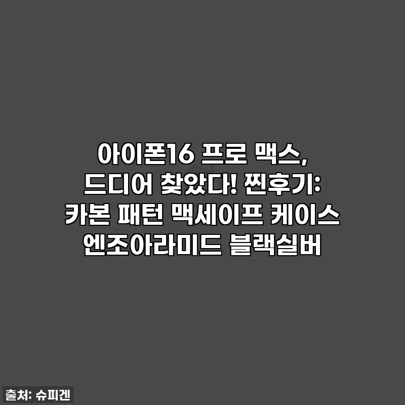 아이폰16 프로 맥스, 드디어 찾았다! 찐후기: 카본 패턴 맥세이프 케이스 엔조아라미드 블랙실버