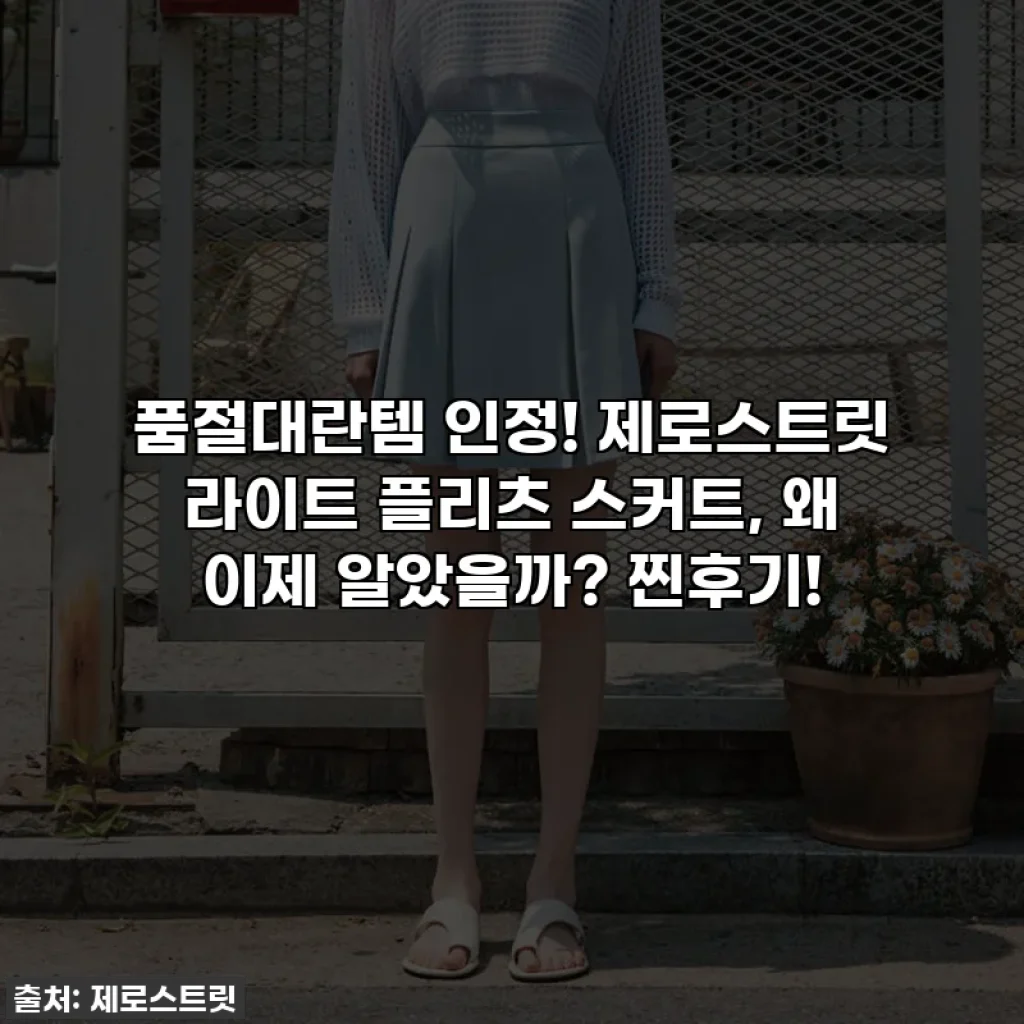 품절대란템 인정! 제로스트릿 라이트 플리츠 스커트, 왜 이제 알았을까? 찐후기!