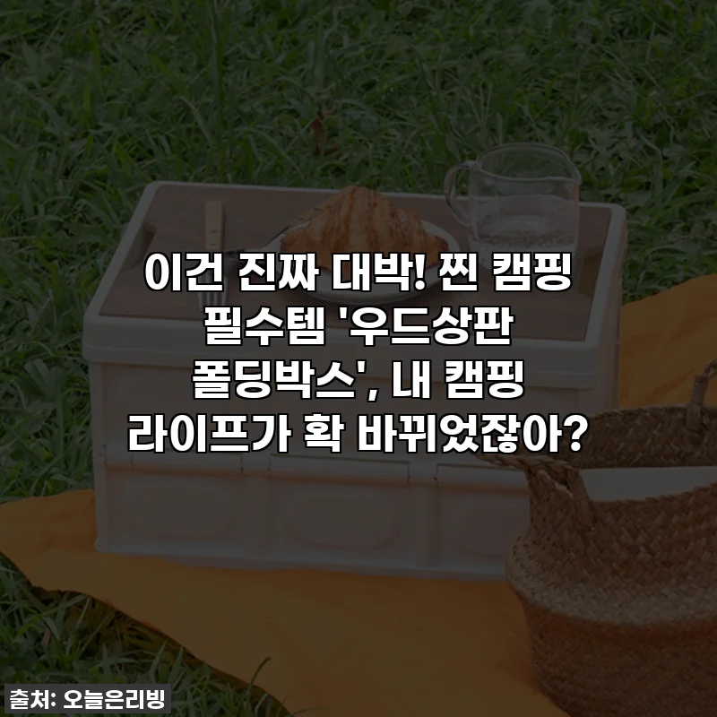 이건 진짜 대박! 찐 캠핑 필수템 '우드상판 폴딩박스', 내 캠핑 라이프가 확 바뀌었잖아?