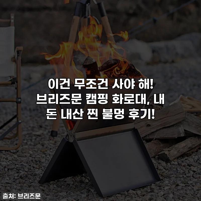 이건 무조건 사야 해! 브리즈문 캠핑 화로대, 내 돈 내산 찐 불멍 후기!