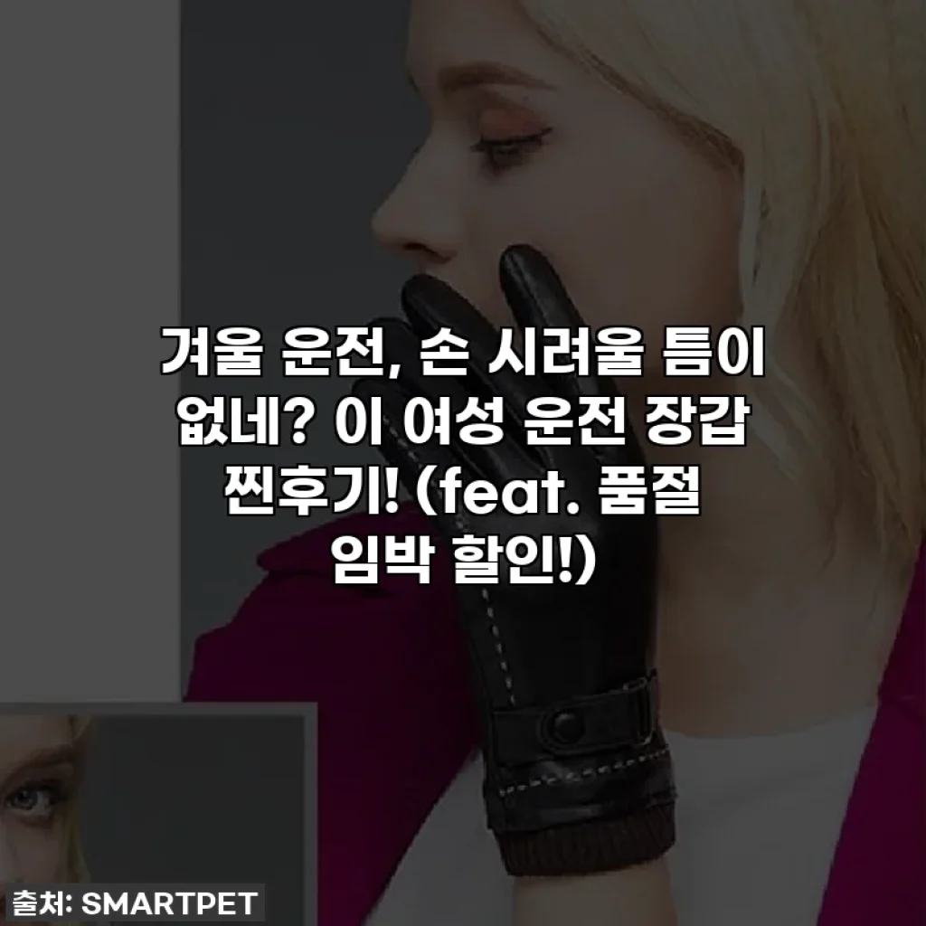 겨울 운전, 손 시려울 틈이 없네? 이 여성 운전 장갑 찐후기! (feat. 품절 임박 할인!)