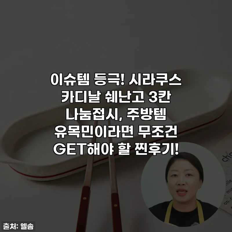 이슈템 등극! 시라쿠스 카디날 쉐난고 3칸 나눔접시, 주방템 유목민이라면 무조건 GET해야 할 찐후기!