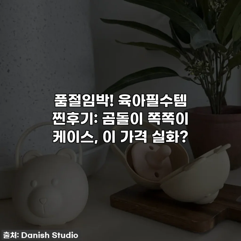 품절임박! 육아필수템 찐후기: 곰돌이 쪽쪽이 케이스, 이 가격 실화?