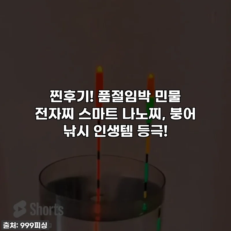 찐후기! 품절임박 민물 전자찌 스마트 나노찌, 붕어 낚시 인생템 등극!