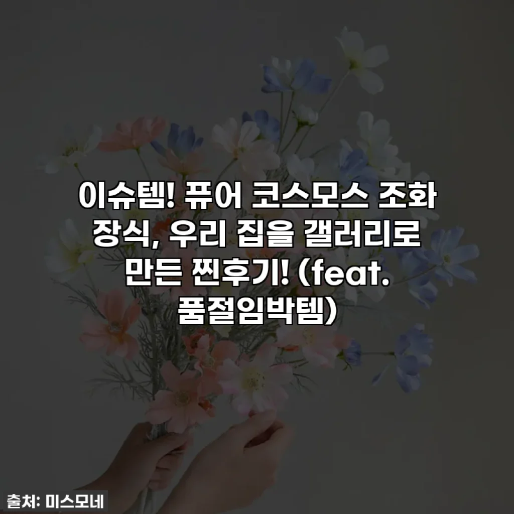 이슈템! 퓨어 코스모스 조화 장식, 우리 집을 갤러리로 만든 찐후기! (feat. 품절임박템)