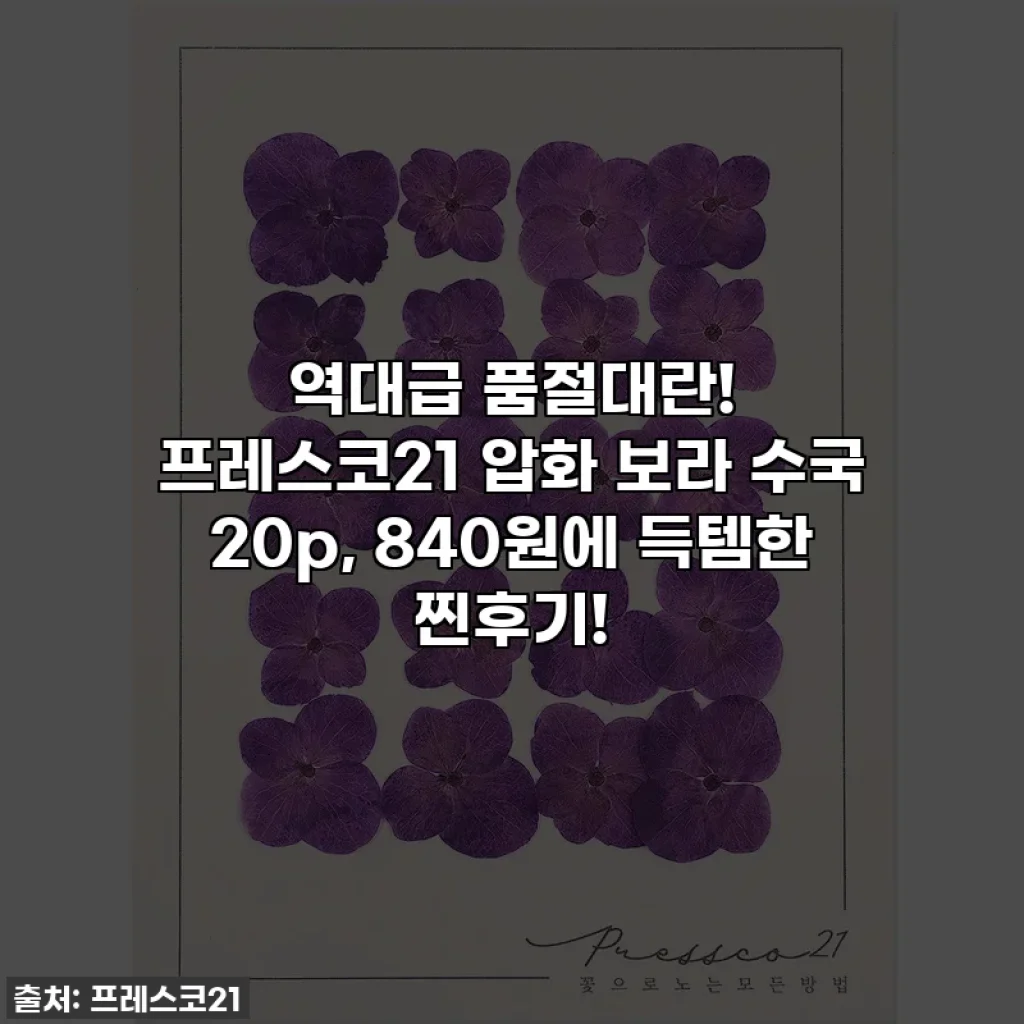 역대급 품절대란! 프레스코21 압화 보라 수국 20p, 840원에 득템한 찐후기!