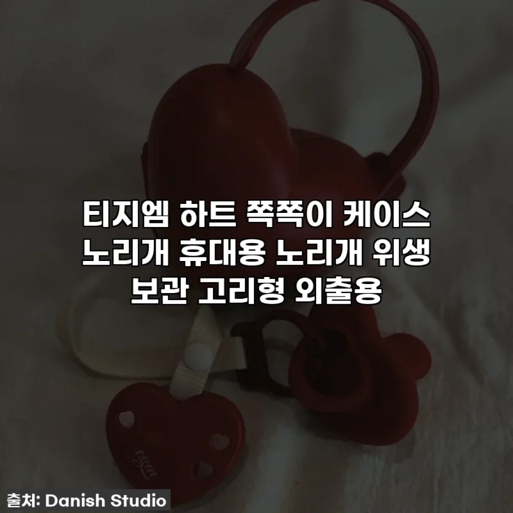 티지엠 하트 쪽쪽이 케이스 노리개 휴대용 노리개 위생 보관 고리형 외출용