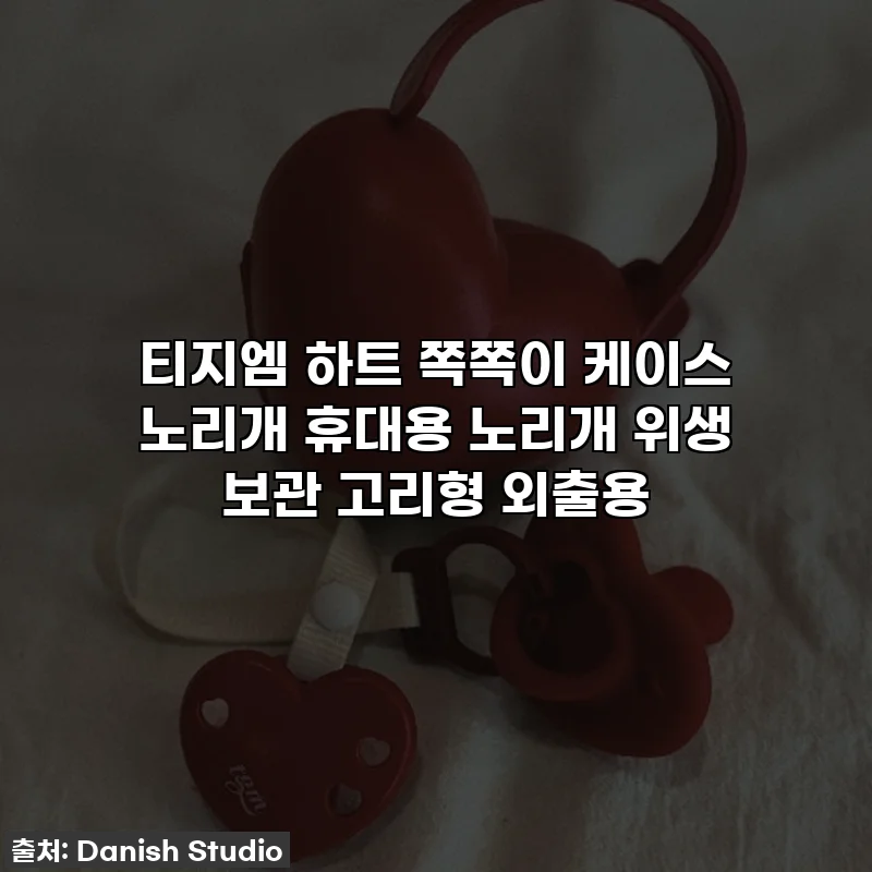티지엠 하트 쪽쪽이 케이스 노리개 휴대용 노리개 위생 보관 고리형 외출용