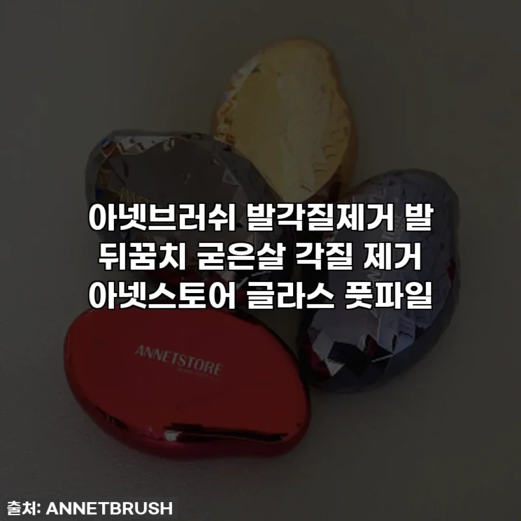 아넷브러쉬 발각질제거 발 뒤꿈치 굳은살 각질 제거 아넷스토어 글라스 풋파일