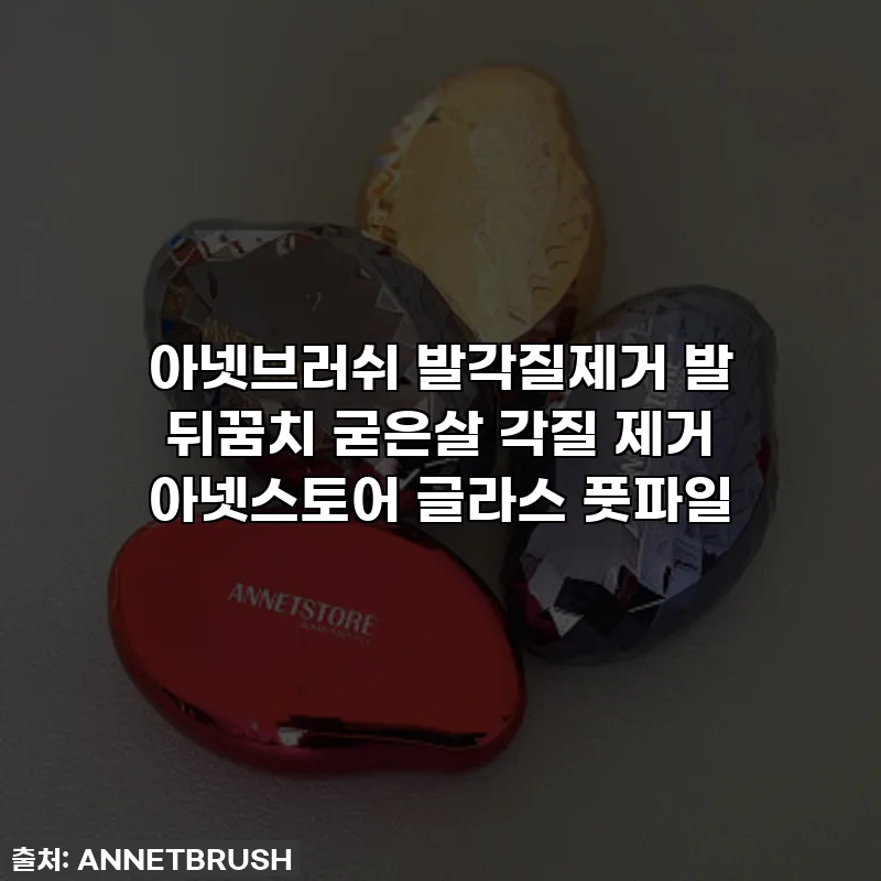 아넷브러쉬 발각질제거 발 뒤꿈치 굳은살 각질 제거 아넷스토어 글라스 풋파일