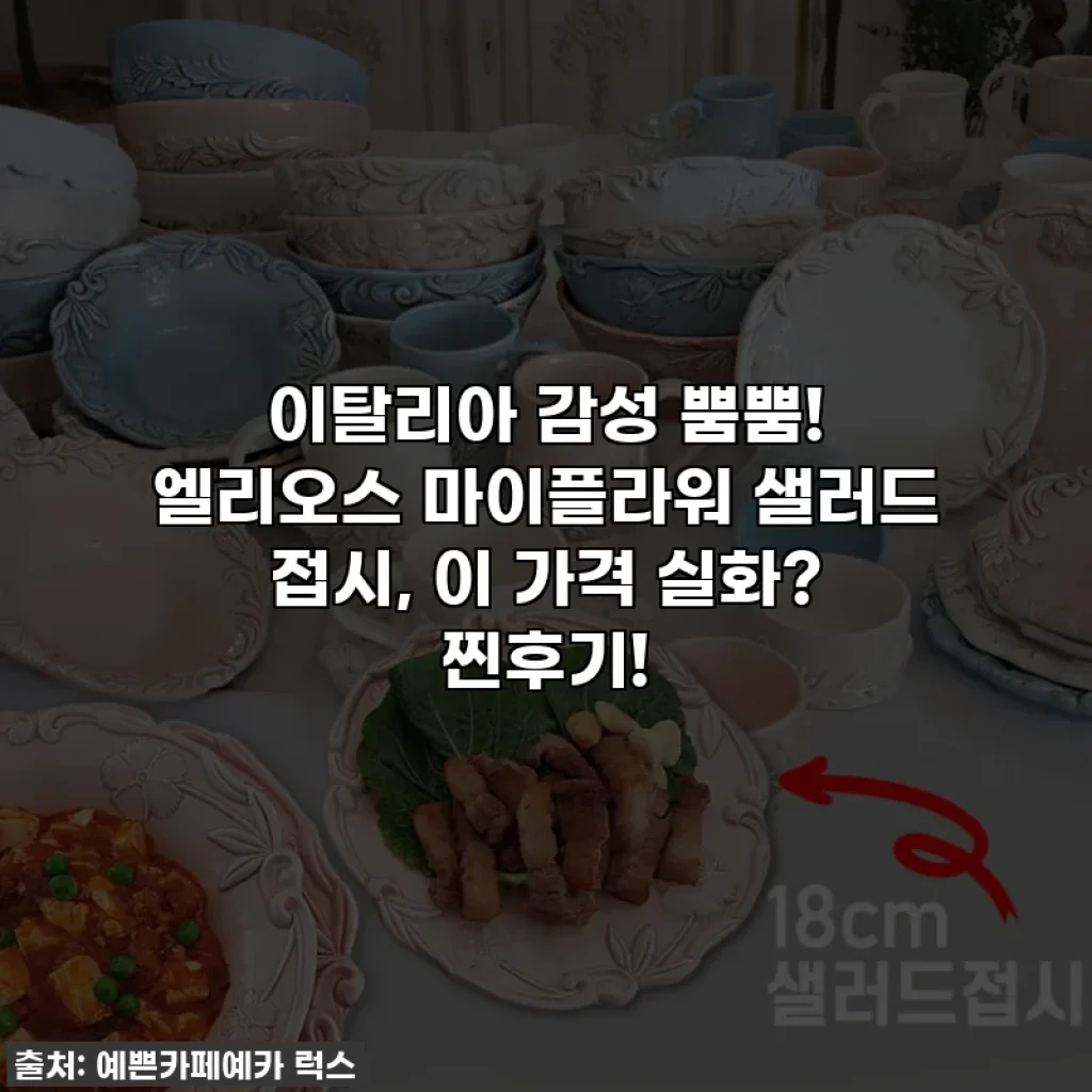 이탈리아 감성 뿜뿜! 엘리오스 마이플라워 샐러드 접시, 이 가격 실화? 찐후기!