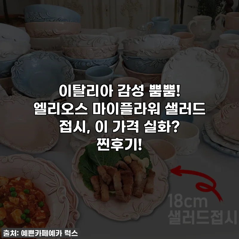 이탈리아 감성 뿜뿜! 엘리오스 마이플라워 샐러드 접시, 이 가격 실화? 찐후기!