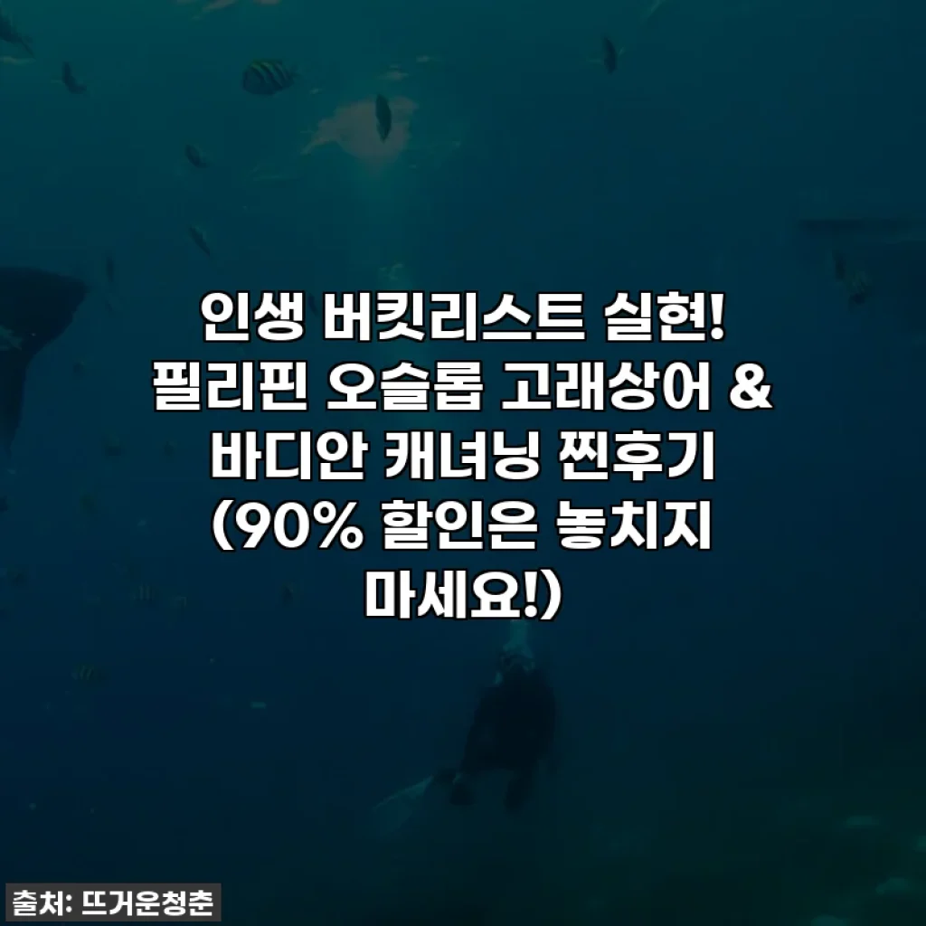 인생 버킷리스트 실현! 필리핀 오슬롭 고래상어 & 바디안 캐녀닝 찐후기 (90% 할인은 놓치지 마세요!)