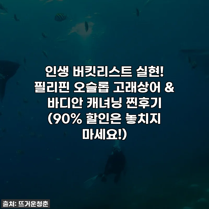 인생 버킷리스트 실현! 필리핀 오슬롭 고래상어 & 바디안 캐녀닝 찐후기 (90% 할인은 놓치지 마세요!)