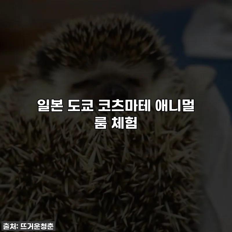 일본 도쿄 코츠마테 애니멀 룸 체험