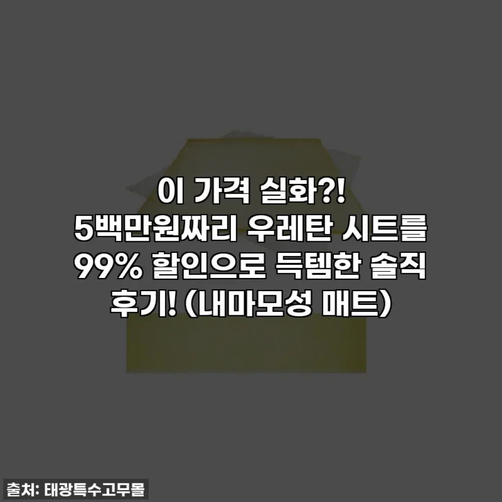 이 가격 실화?! 5백만원짜리 우레탄 시트를 99% 할인으로 득템한 솔직 후기! (내마모성 매트)