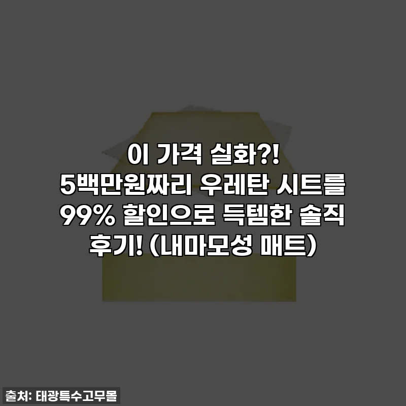 이 가격 실화?! 5백만원짜리 우레탄 시트를 99% 할인으로 득템한 솔직 후기! (내마모성 매트)