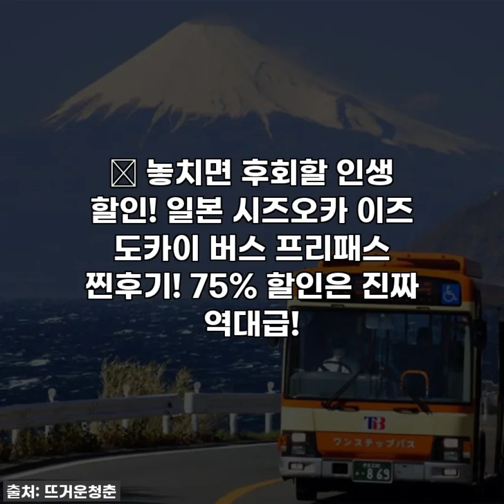 🎁 놓치면 후회할 인생 할인! 일본 시즈오카 이즈 도카이 버스 프리패스 찐후기! 75% 할인은 진짜 역대급!