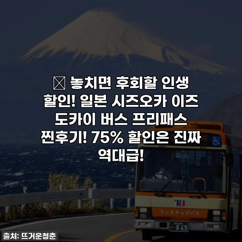 🎁 놓치면 후회할 인생 할인! 일본 시즈오카 이즈 도카이 버스 프리패스 찐후기! 75% 할인은 진짜 역대급!