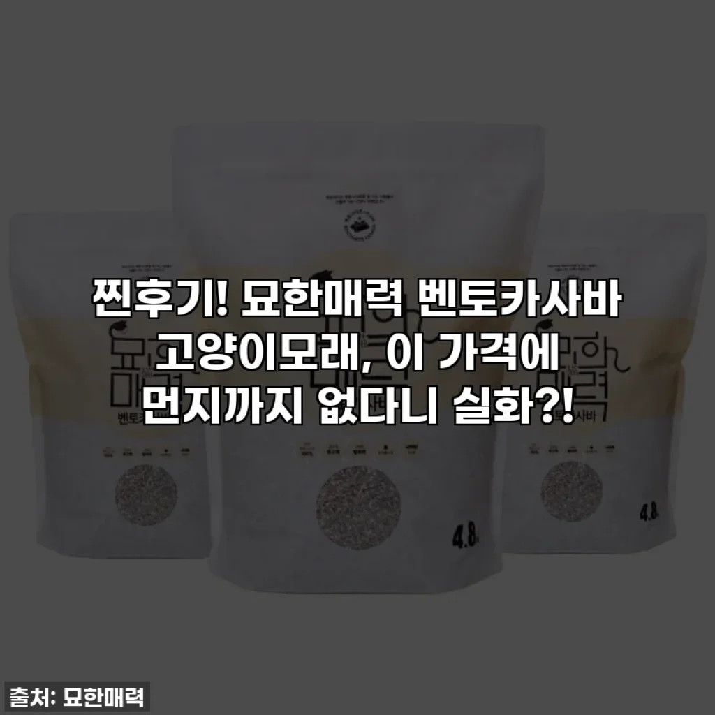 찐후기! 묘한매력 벤토카사바 고양이모래, 이 가격에 먼지까지 없다니 실화?!