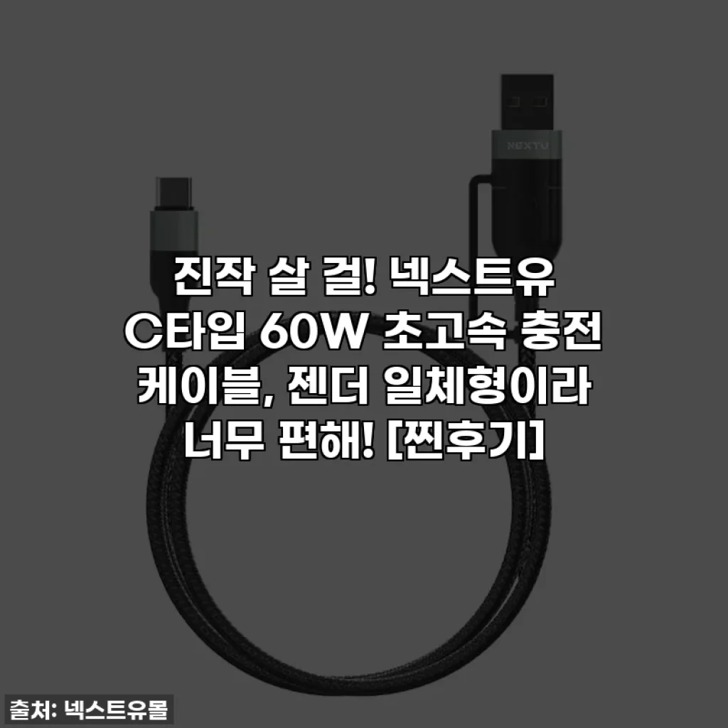 진작 살 걸! 넥스트유 C타입 60W 초고속 충전 케이블, 젠더 일체형이라 너무 편해! [찐후기]