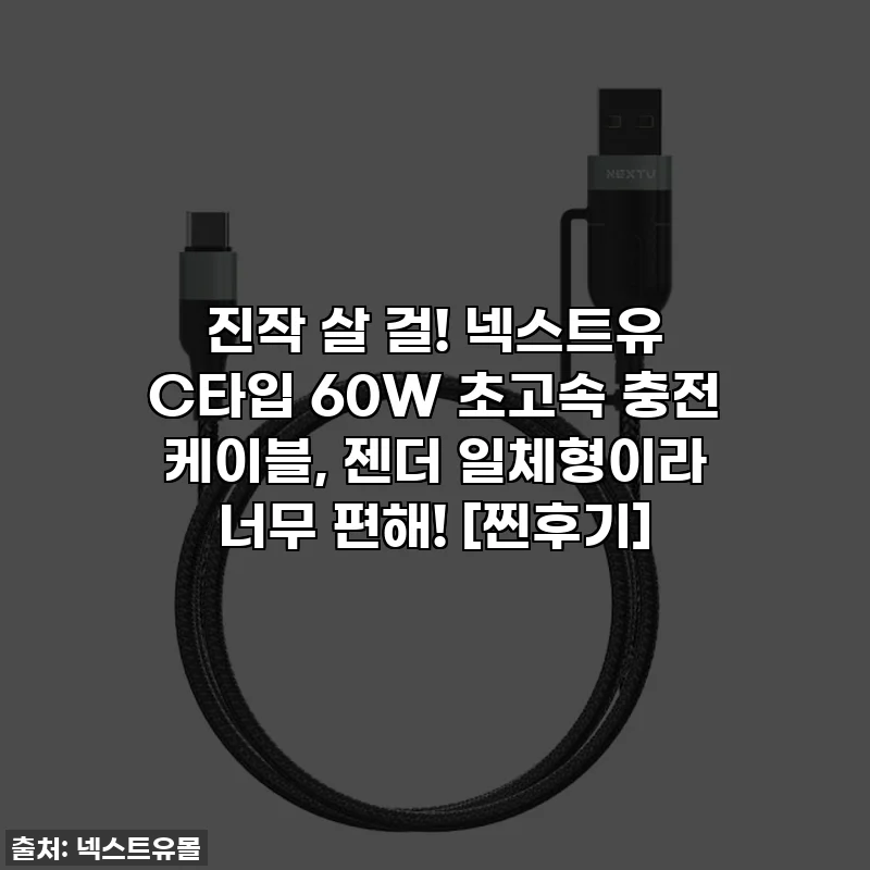 진작 살 걸! 넥스트유 C타입 60W 초고속 충전 케이블, 젠더 일체형이라 너무 편해! [찐후기]