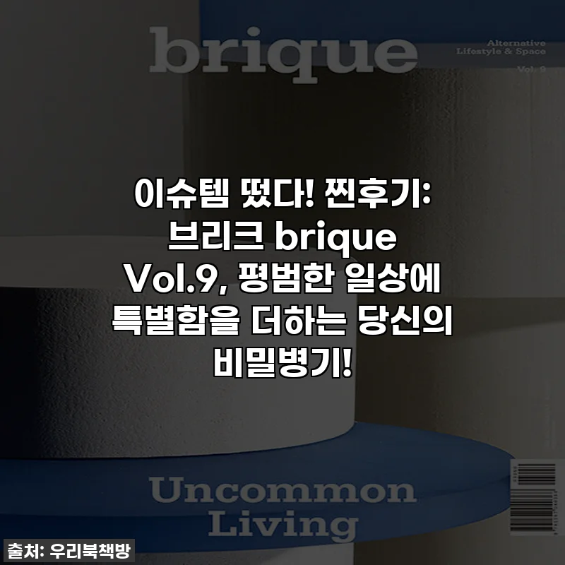 이슈템 떴다! 찐후기: 브리크 brique Vol.9, 평범한 일상에 특별함을 더하는 당신의 비밀병기!