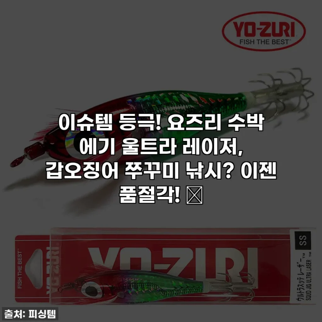 이슈템 등극! 요즈리 수박 에기 울트라 레이저, 갑오징어 쭈꾸미 낚시? 이젠 품절각! 🎣