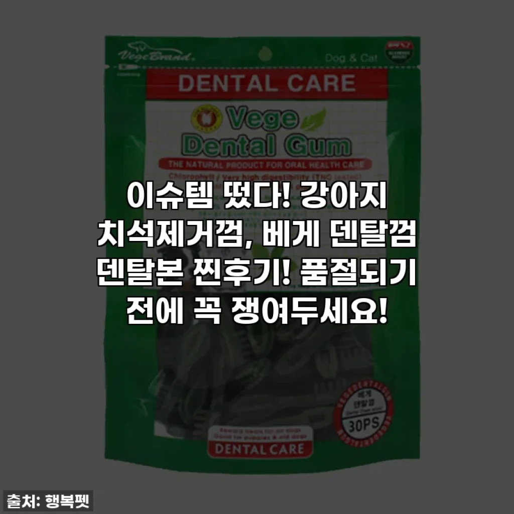이슈템 떴다! 강아지 치석제거껌, 베게 덴탈껌 덴탈본 찐후기! 품절되기 전에 꼭 쟁여두세요!
