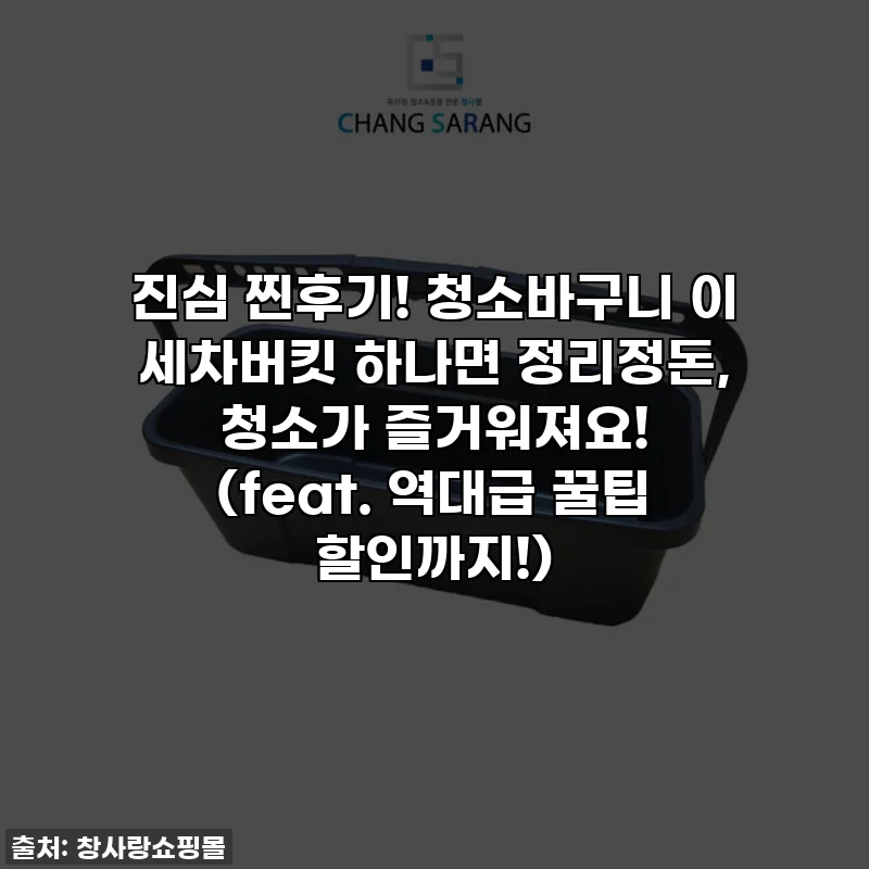 진심 찐후기! 청소바구니 이 세차버킷 하나면 정리정돈, 청소가 즐거워져요! (feat. 역대급 꿀팁 할인까지!)