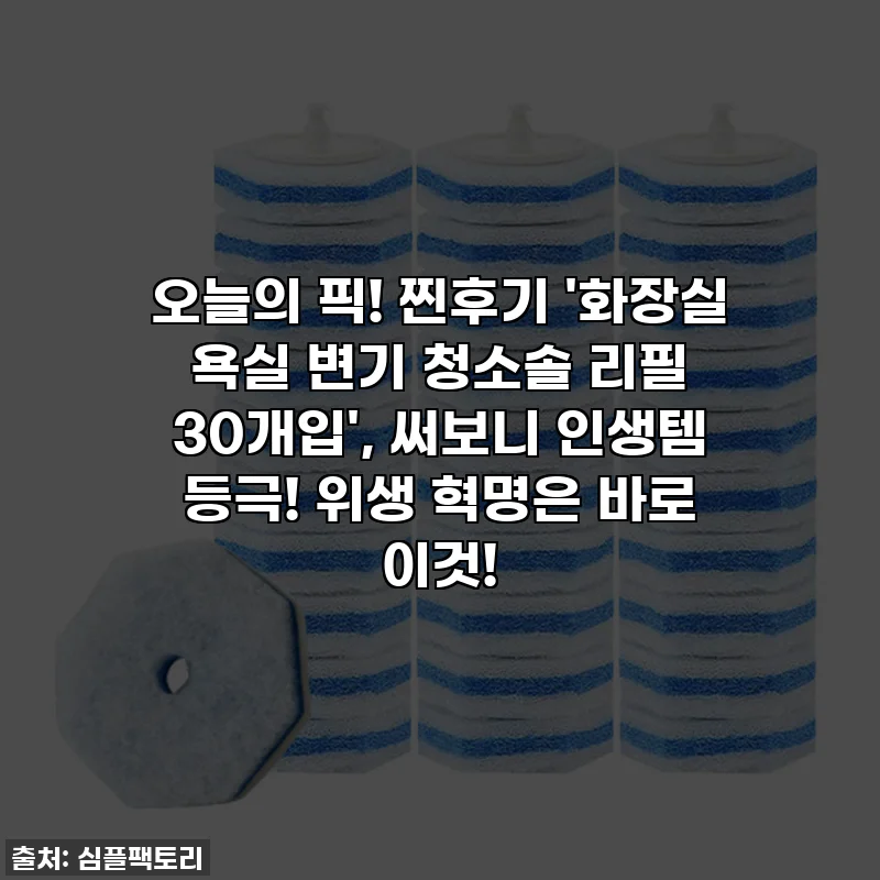 오늘의 픽! 찐후기 '화장실 욕실 변기 청소솔 리필 30개입', 써보니 인생템 등극! 위생 혁명은 바로 이것!