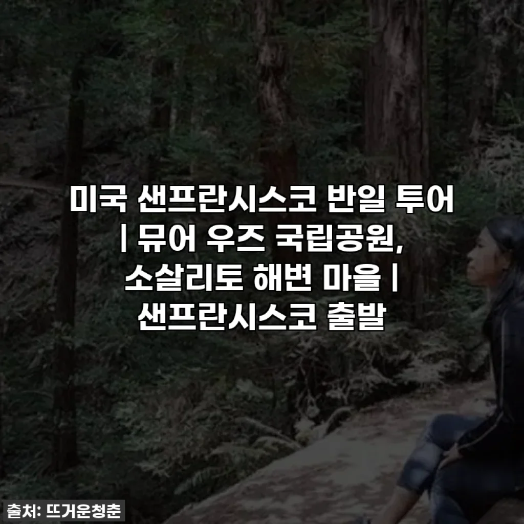 미국 샌프란시스코 반일 투어 | 뮤어 우즈 국립공원, 소살리토 해변 마을 | 샌프란시스코 출발