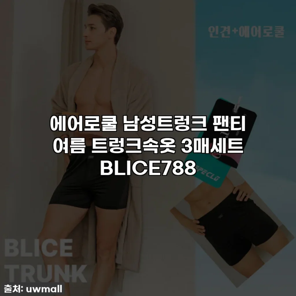 에어로쿨 남성트렁크 팬티 여름 트렁크속옷 3매세트 BLICE788