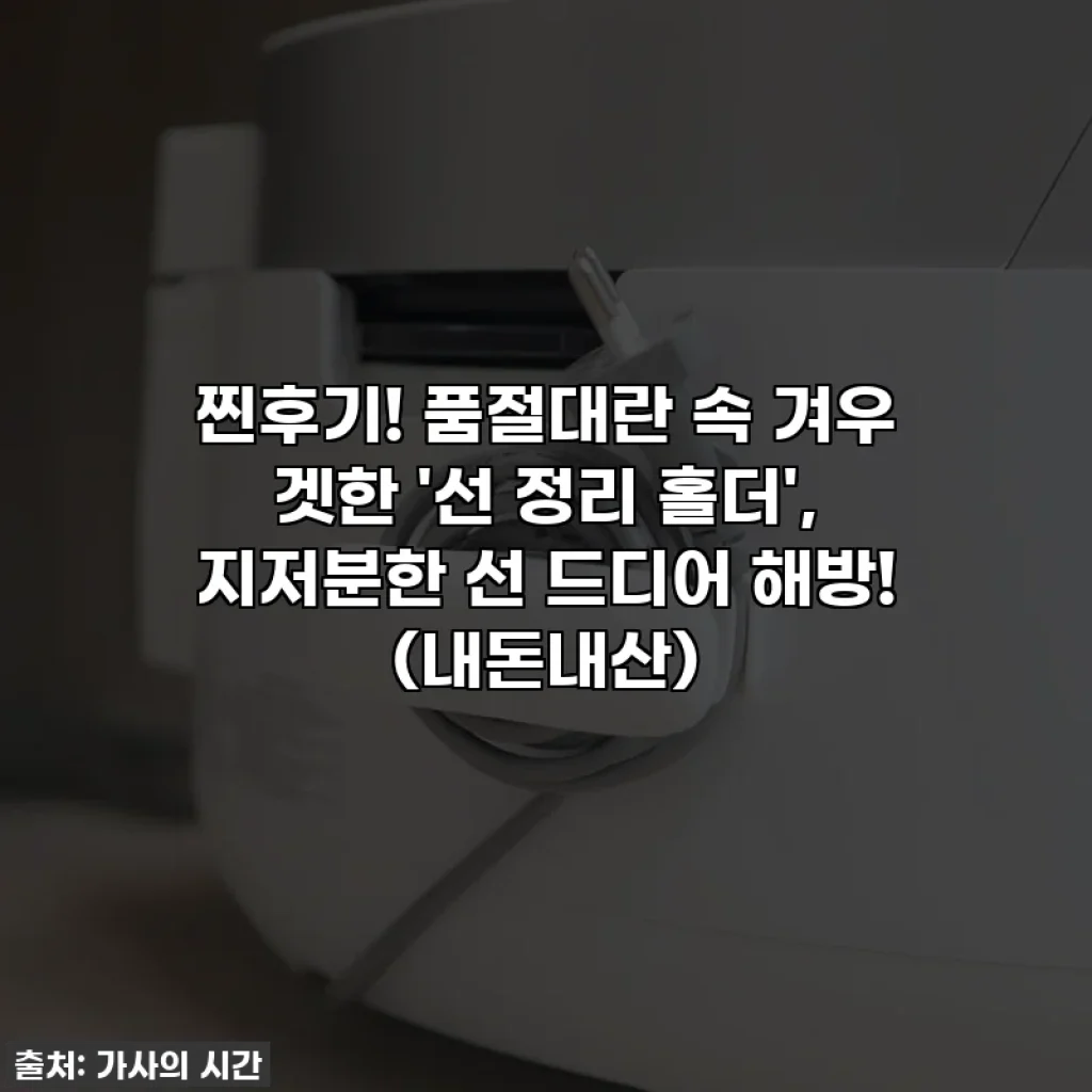찐후기! 품절대란 속 겨우 겟한 '선 정리 홀더', 지저분한 선 드디어 해방! (내돈내산)