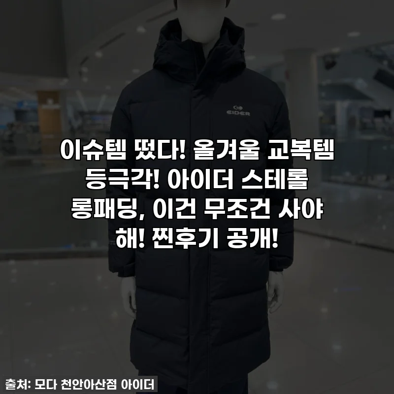 이슈템 떴다! 올겨울 교복템 등극각! 아이더 스테롤 롱패딩, 이건 무조건 사야 해! 찐후기 공개!