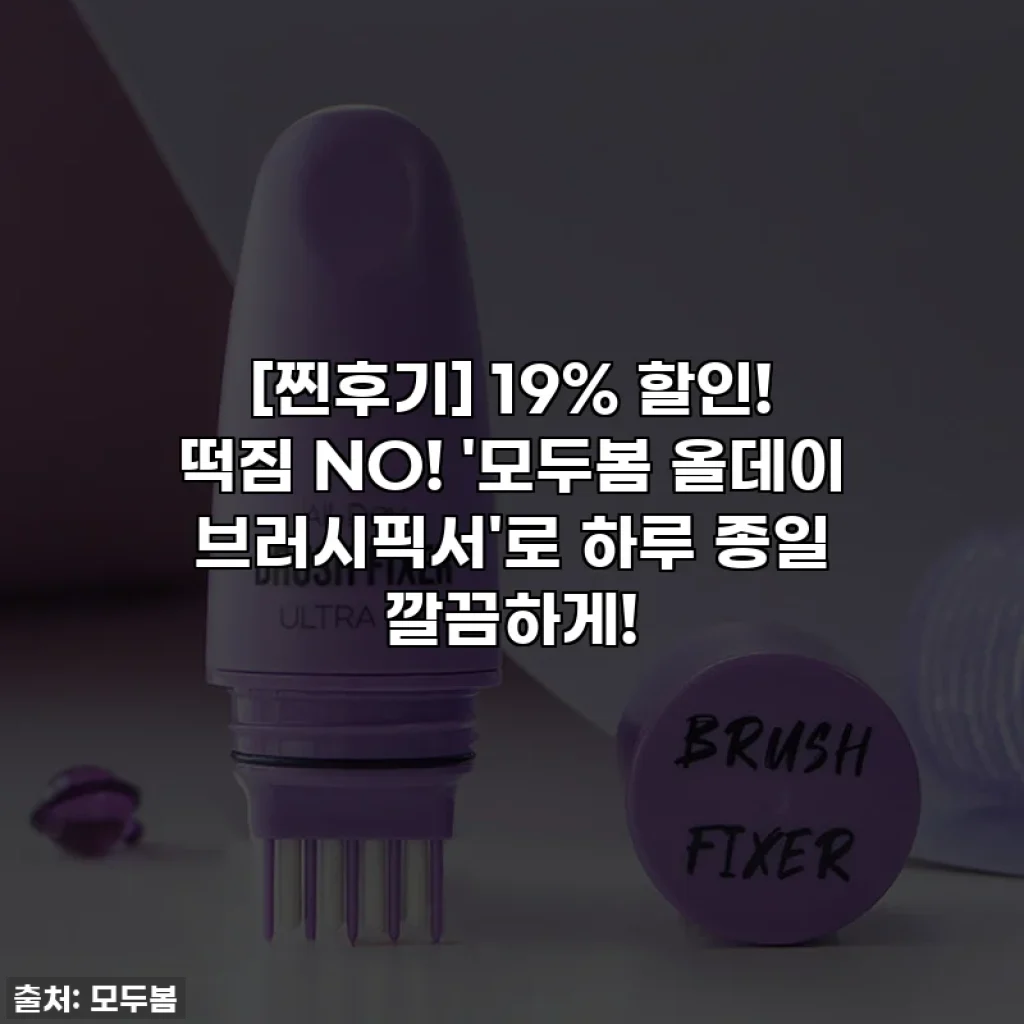 [찐후기] 19% 할인! 떡짐 NO! '모두봄 올데이 브러시픽서'로 하루 종일 깔끔하게!