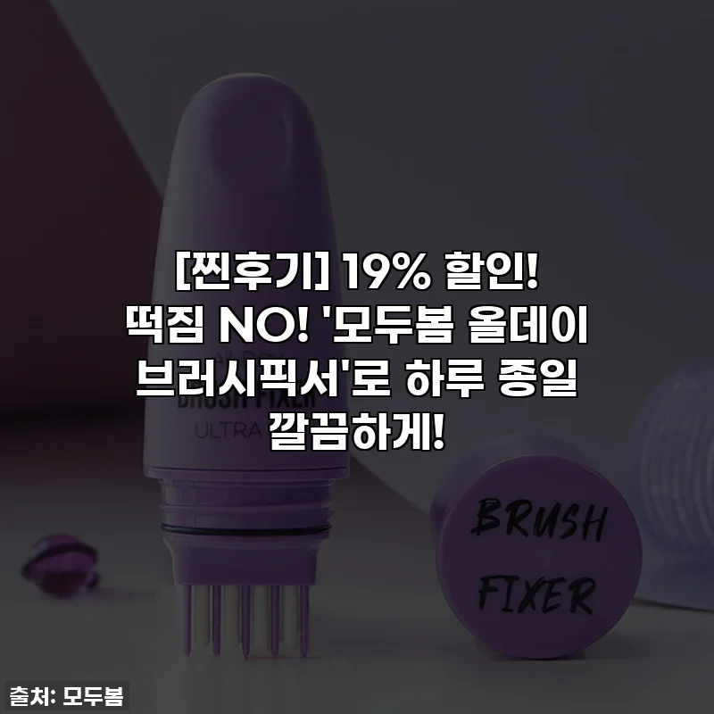 [찐후기] 19% 할인! 떡짐 NO! '모두봄 올데이 브러시픽서'로 하루 종일 깔끔하게!