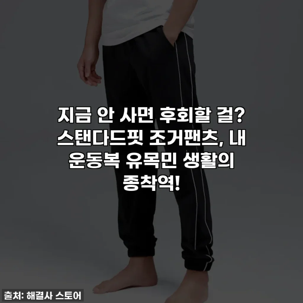 지금 안 사면 후회할 걸? 스탠다드핏 조거팬츠, 내 운동복 유목민 생활의 종착역!