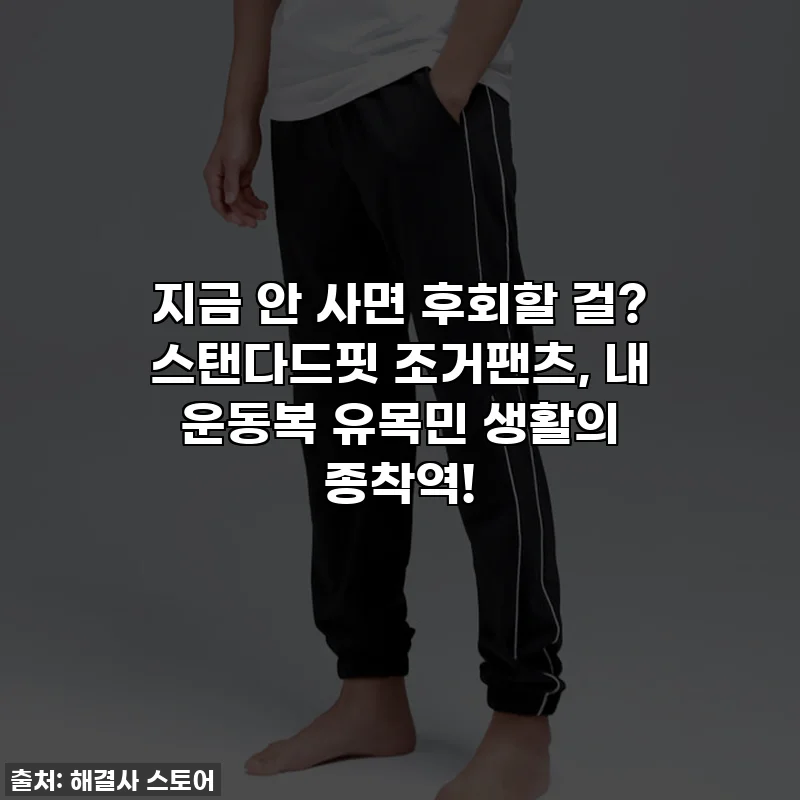 지금 안 사면 후회할 걸? 스탠다드핏 조거팬츠, 내 운동복 유목민 생활의 종착역!