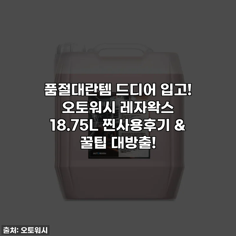🚨 품절대란템 드디어 입고! 오토워시 레자왁스 18.75L 찐사용후기 & 꿀팁 대방출! 💖