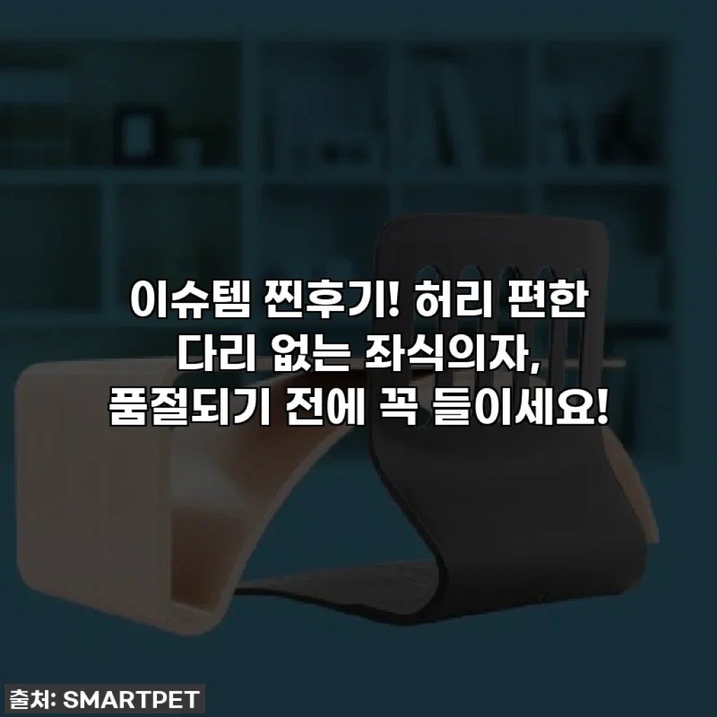이슈템 찐후기! 허리 편한 다리 없는 좌식의자, 품절되기 전에 꼭 들이세요!