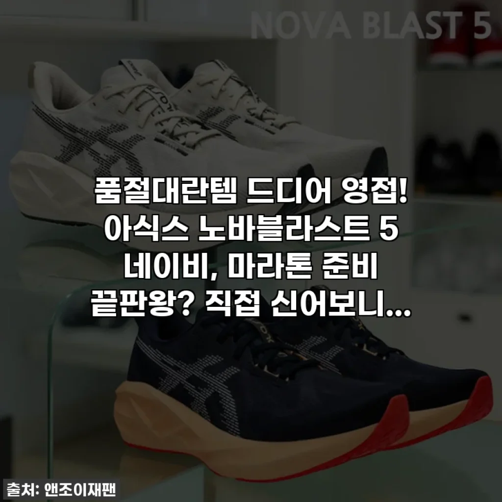 품절대란템 드디어 영접! 아식스 노바블라스트 5 네이비, 마라톤 준비 끝판왕? 직접 신어보니...