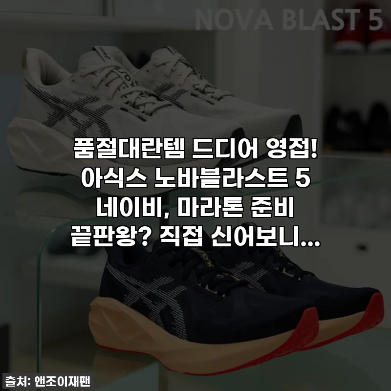 품절대란템 드디어 영접! 아식스 노바블라스트 5 네이비, 마라톤 준비 끝판왕? 직접 신어보니...