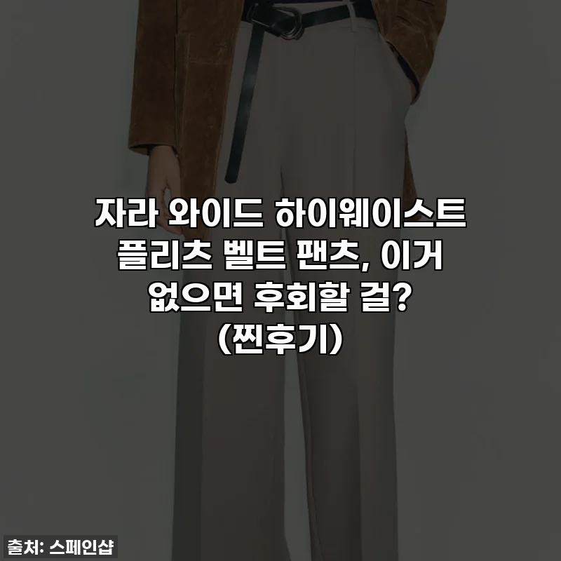 자라 와이드 하이웨이스트 플리츠 벨트 팬츠, 이거 없으면 후회할 걸? ✨ (찐후기)