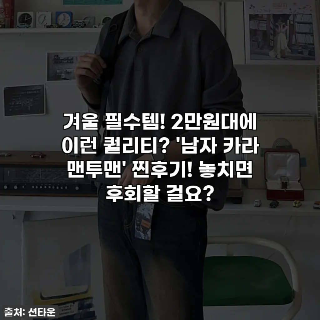 겨울 필수템! 2만원대에 이런 퀄리티? '남자 카라 맨투맨' 찐후기! 놓치면 후회할 걸요?