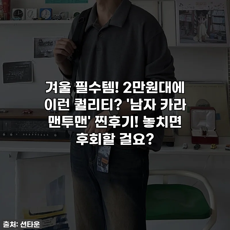 겨울 필수템! 2만원대에 이런 퀄리티? '남자 카라 맨투맨' 찐후기! 놓치면 후회할 걸요?