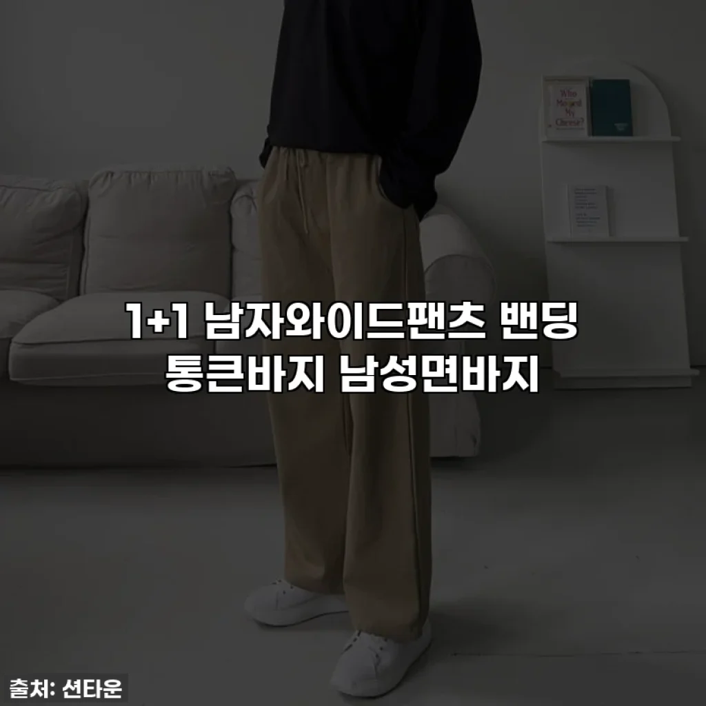 1+1 남자와이드팬츠 밴딩 통큰바지 남성면바지