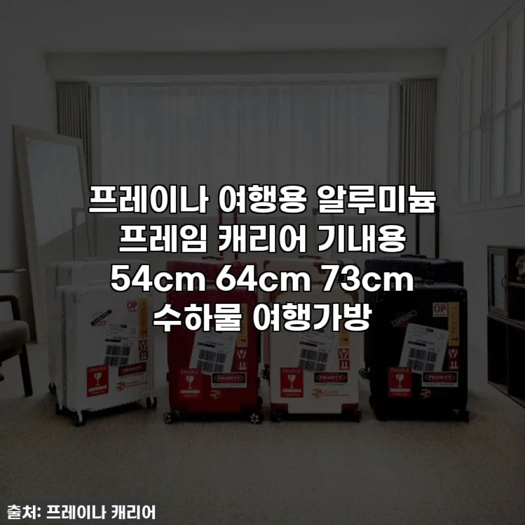 프레이나 여행용 알루미늄 프레임 캐리어 기내용 54cm 64cm 73cm 수하물 여행가방