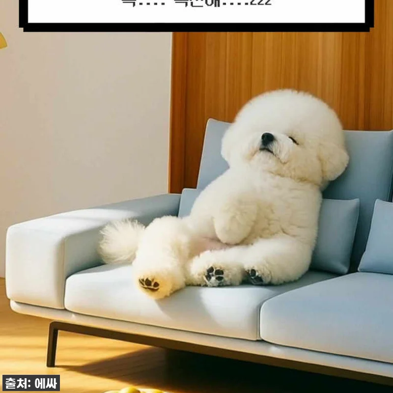 "우리 집 거실이 호텔 라운지로 변신 관련 이미지 6