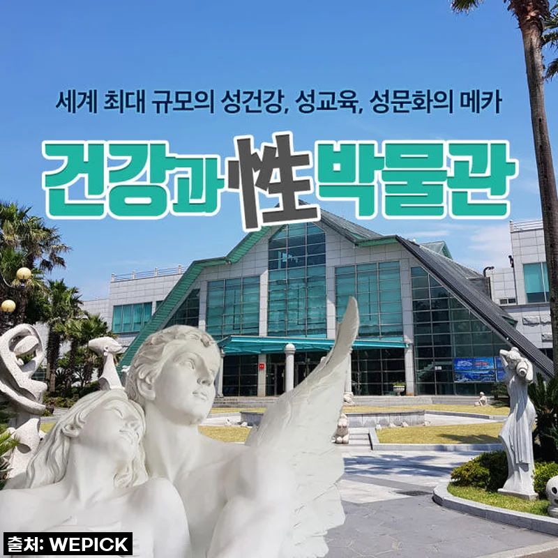 제주 건강과 성 박물관: 16% 할인은 놓칠 수 없지! 솔직담백 찐후기 대공개!
